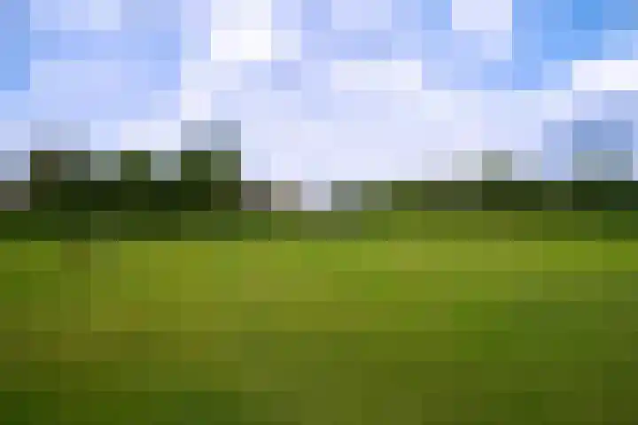 De Brink 24 Drijber thumbnail 33