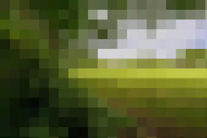 De Brink 24 Drijber thumbnail 34