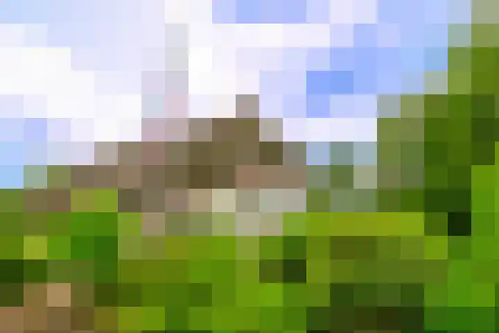 De Brink 24 Drijber thumbnail 35
