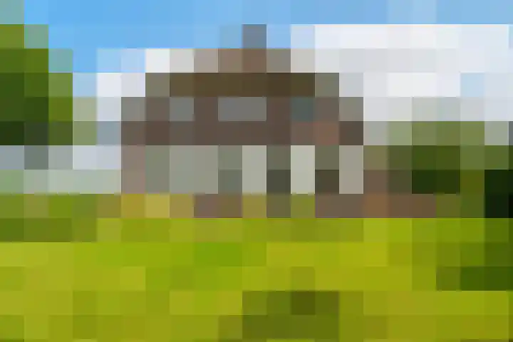 De Brink 24 Drijber thumbnail 36