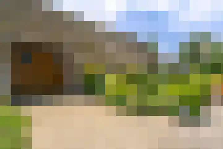 De Brink 24 Drijber thumbnail 37