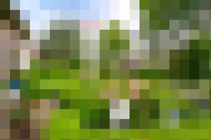 De Brink 24 Drijber thumbnail 38