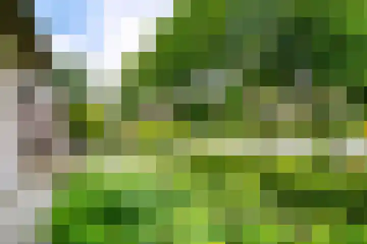 De Brink 24 Drijber thumbnail 39