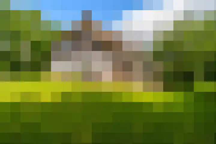 De Brink 24 Drijber thumbnail 4