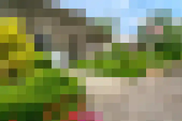 De Brink 24 Drijber thumbnail 40
