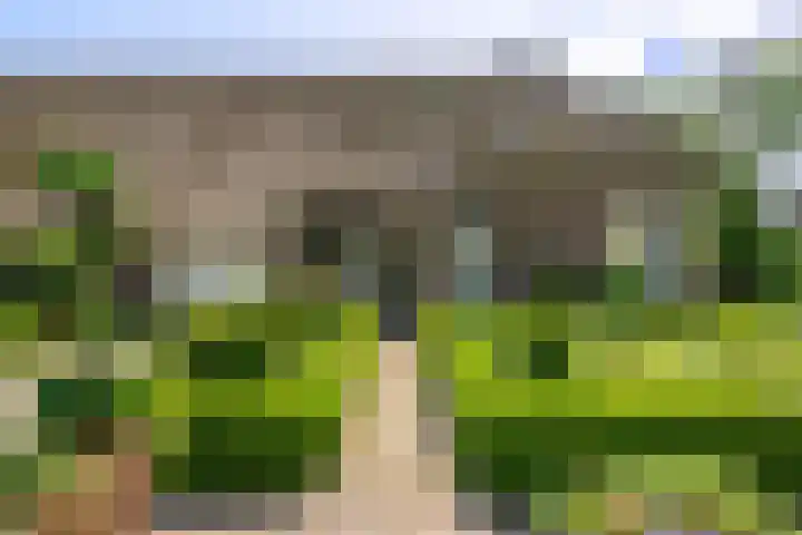 De Brink 24 Drijber thumbnail 41