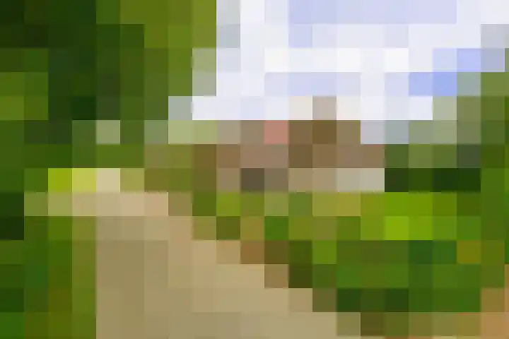 De Brink 24 Drijber thumbnail 42