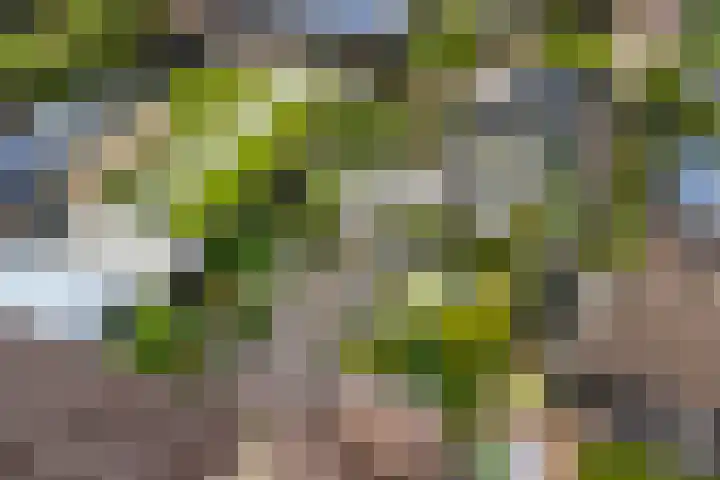 De Brink 24 Drijber thumbnail 43