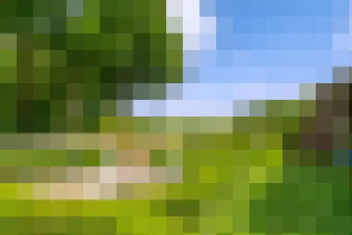 De Brink 24 Drijber thumbnail 43