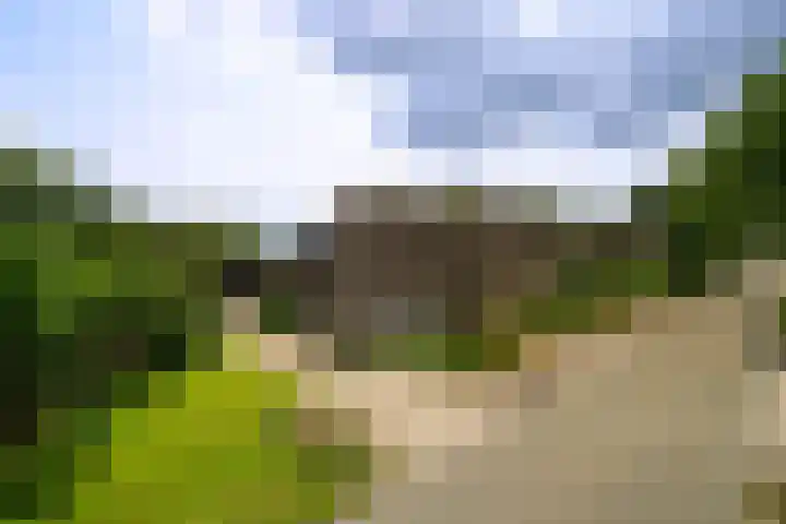 De Brink 24 Drijber thumbnail 44
