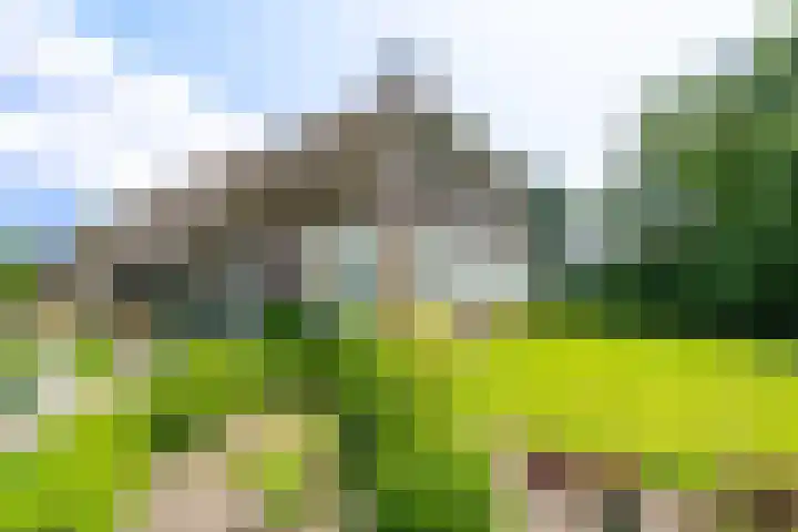 De Brink 24 Drijber thumbnail 47