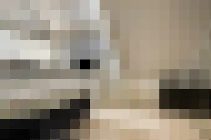 De Brink 24 Drijber thumbnail 7