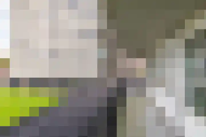 De Brink 24 Groningen thumbnail 15