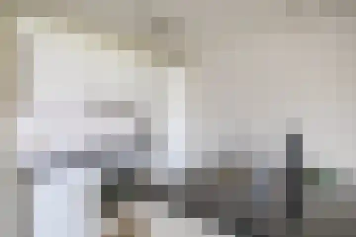 De Brink 24 Groningen thumbnail 4