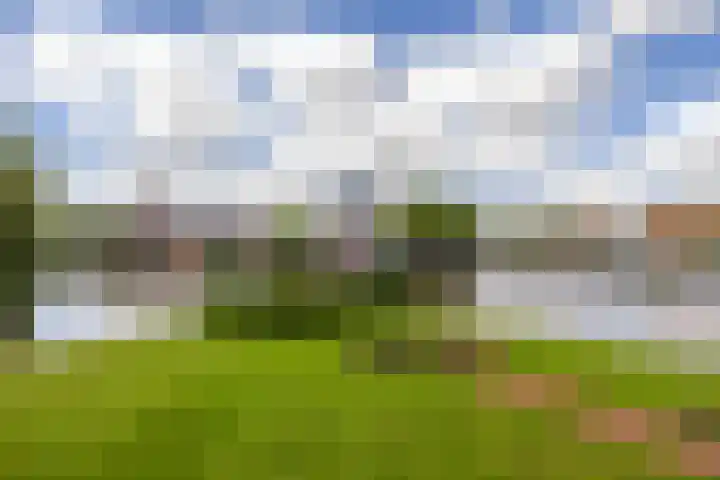 De Brink 24 Groningen thumbnail 5