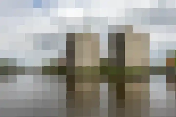 De Brink 24 Groningen thumbnail 7