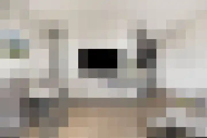 de Brink 24 Losser thumbnail 11