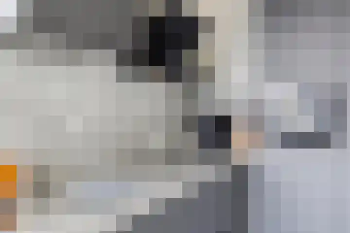 de Brink 24 Losser thumbnail 15
