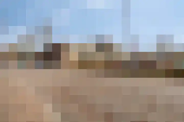 de Brink 24 Losser thumbnail 28