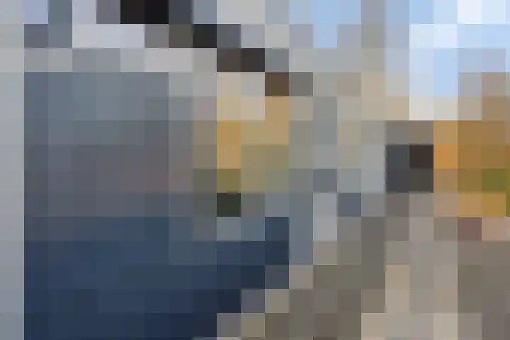 de Brink 24 Losser thumbnail 5