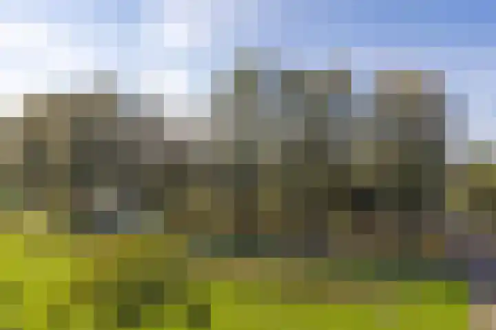 De Brink 316 Zutphen thumbnail 14