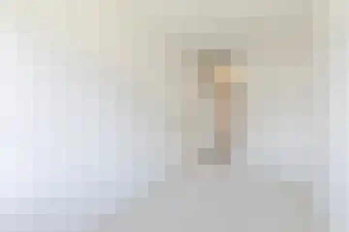De Brink 316 Zutphen thumbnail 23