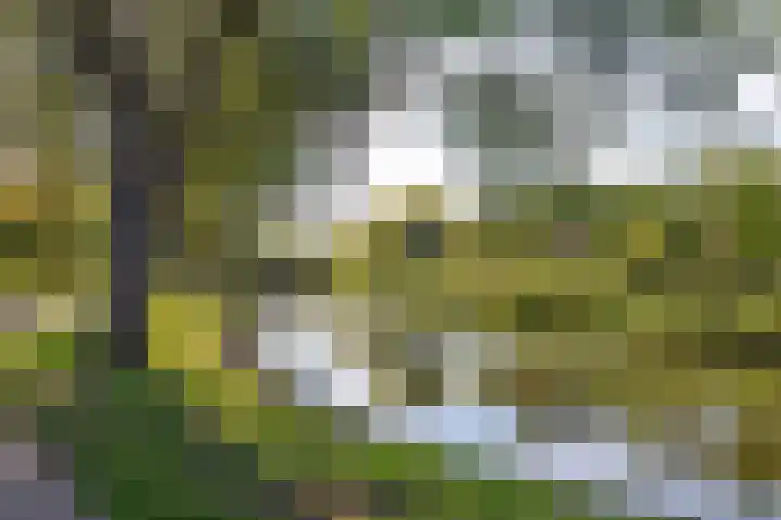 De Brink 316 Zutphen thumbnail 33