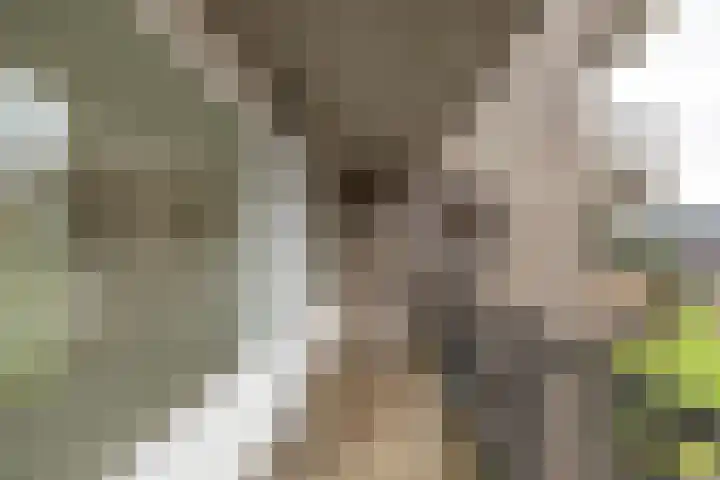 De Brink 44 Groningen thumbnail 14