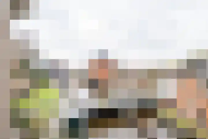 De Brink 44 Groningen thumbnail 15
