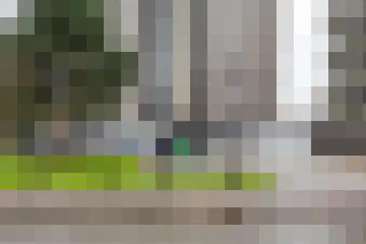 De Brink 44 Groningen thumbnail 29