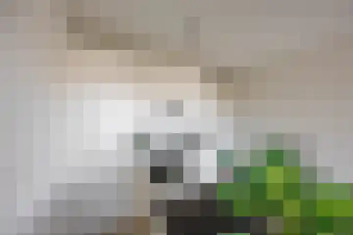 De Brink 50 Groningen thumbnail 24