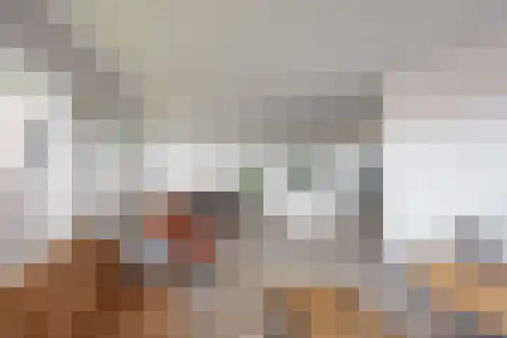 De Brink 50 Groningen thumbnail 25
