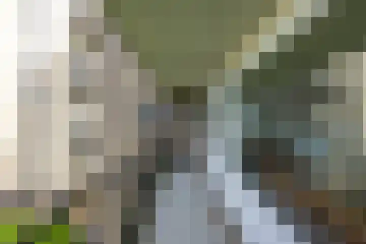 De Brink 50 Groningen thumbnail 27