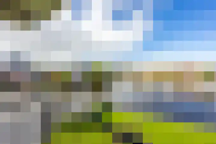De Brink 50 Groningen thumbnail 28