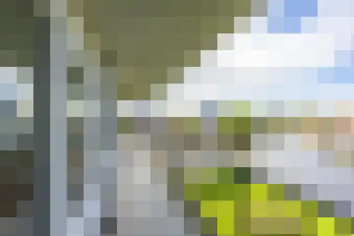 De Brink 50 Groningen thumbnail 4