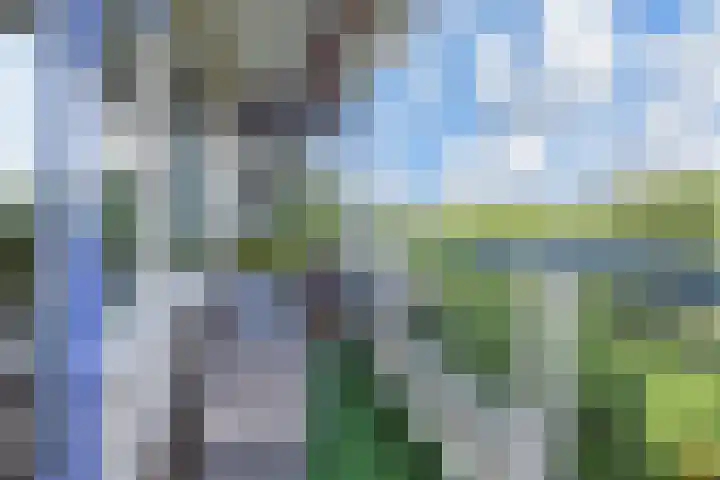 De Brink 566 Den Haag thumbnail 22