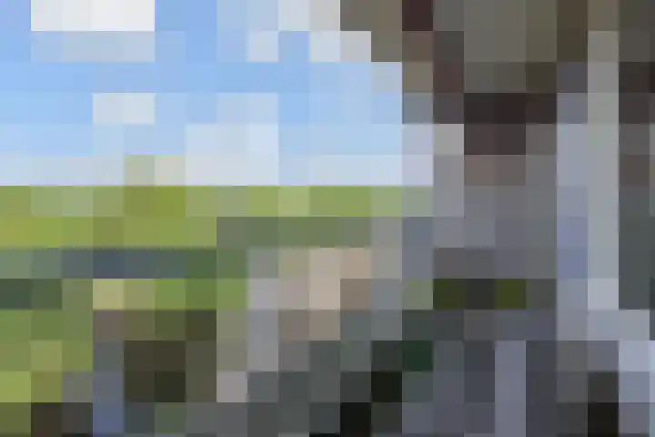 De Brink 566 Den Haag thumbnail 25