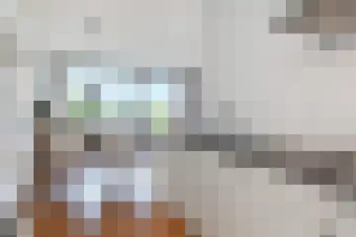 De Brink 566 Den Haag thumbnail 32