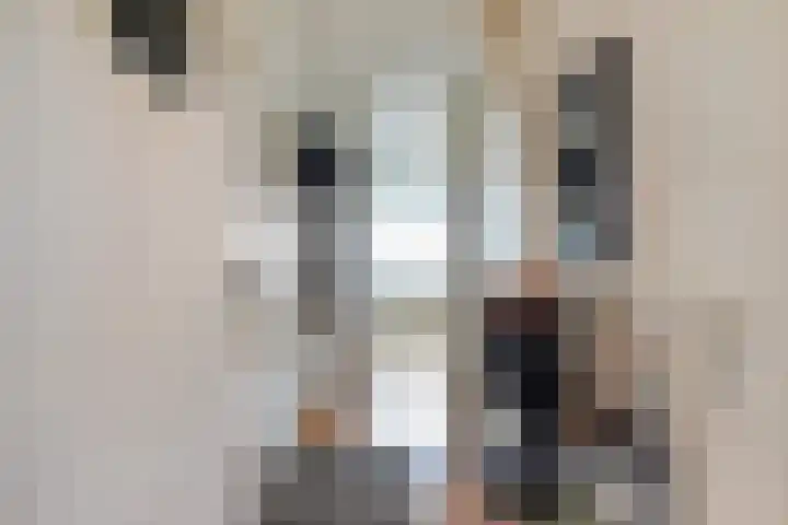 De Brink 566 Den Haag thumbnail 33
