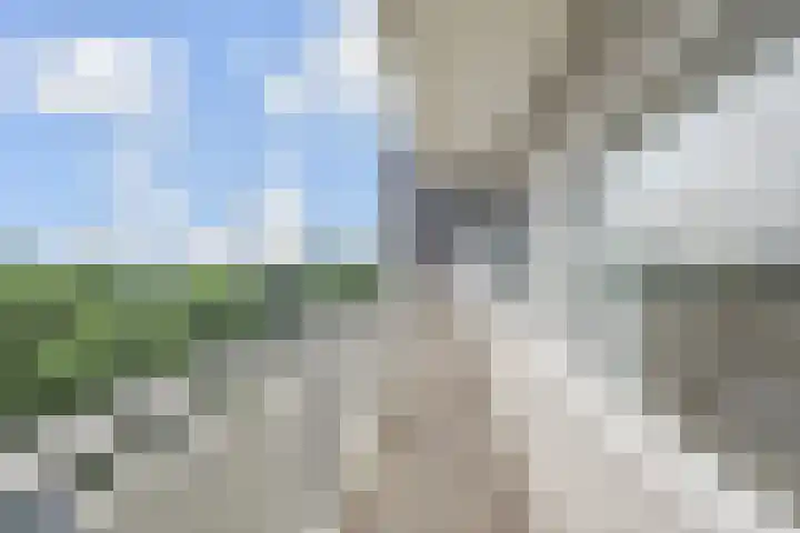 De Brink 566 Den Haag thumbnail 45