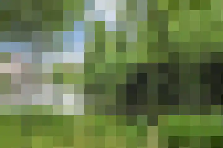 De Brink 566 Den Haag thumbnail 48