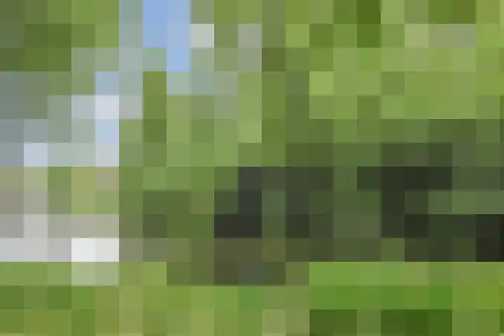 De Brink 566 Den Haag thumbnail 49