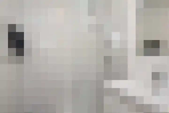 De Brink 566 Den Haag thumbnail 5