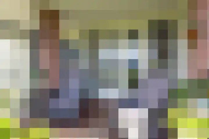 De Brink 6 Castricum thumbnail 34