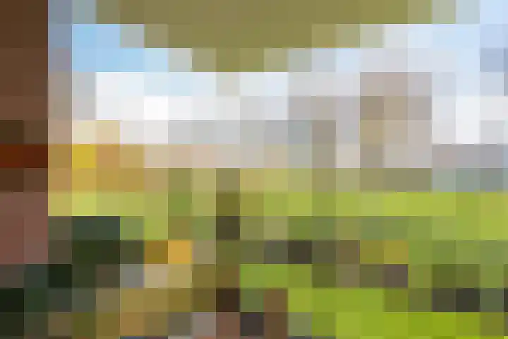 De Brink 6 Castricum thumbnail 36