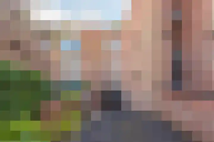 De Brink 6 Castricum thumbnail 39