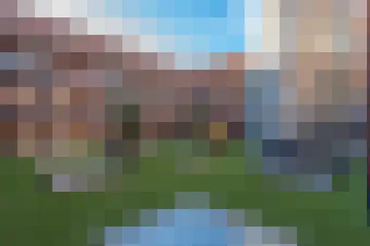 De Brink 6 Castricum thumbnail 43