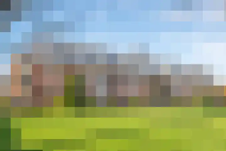 De Brink 6 Castricum thumbnail 44