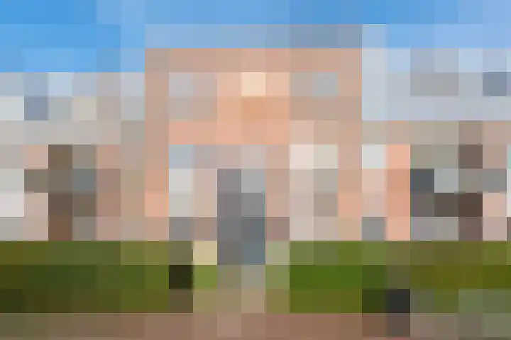 De Brink 6 Castricum thumbnail 7