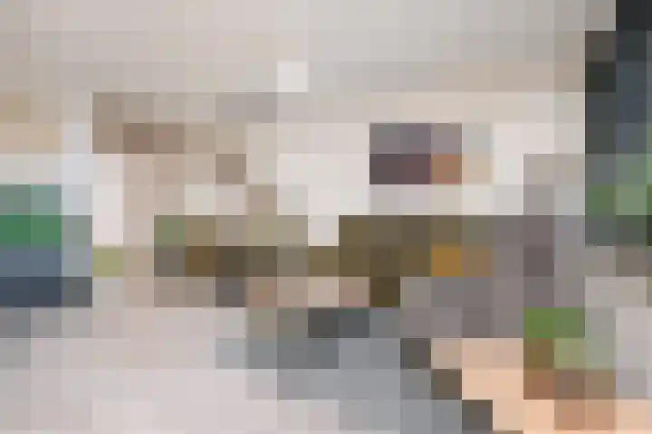 De Brink 66 Den Haag thumbnail 12